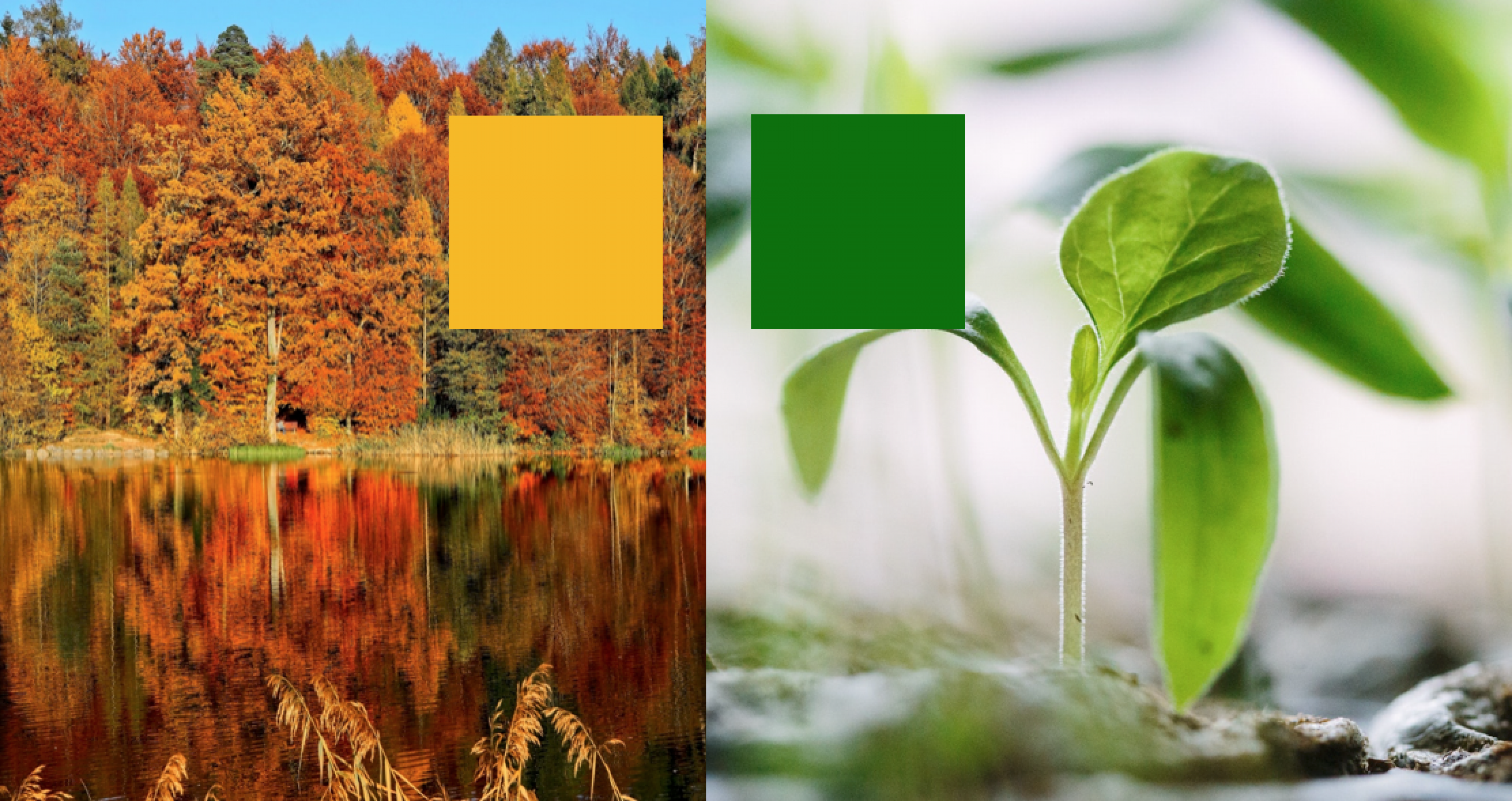 enagrat_Farben2