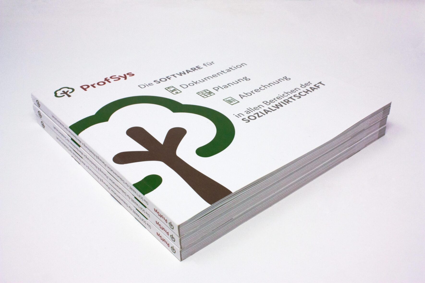 FORMLOS-ProfSys-Print-Broschüre-Corporate-Design-2 FORMLOS-ProfSys-Print-Broschüre-Corporate-Design-2