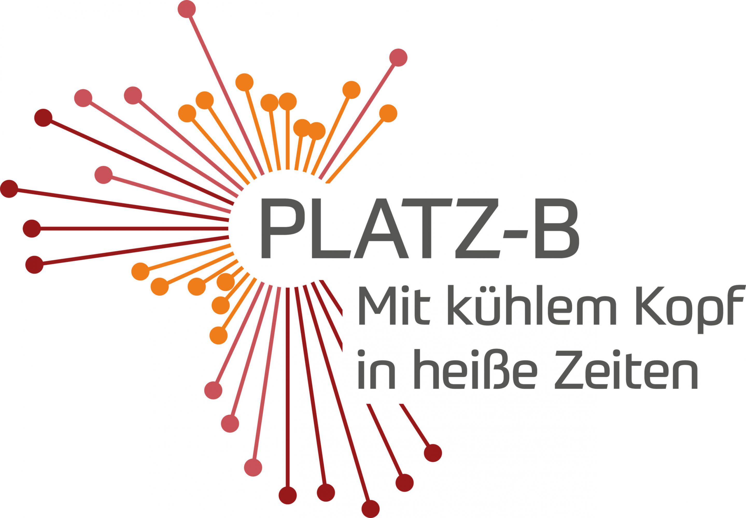 Platz-B-Logo-GoingVis-Branding-Corporate-Design
