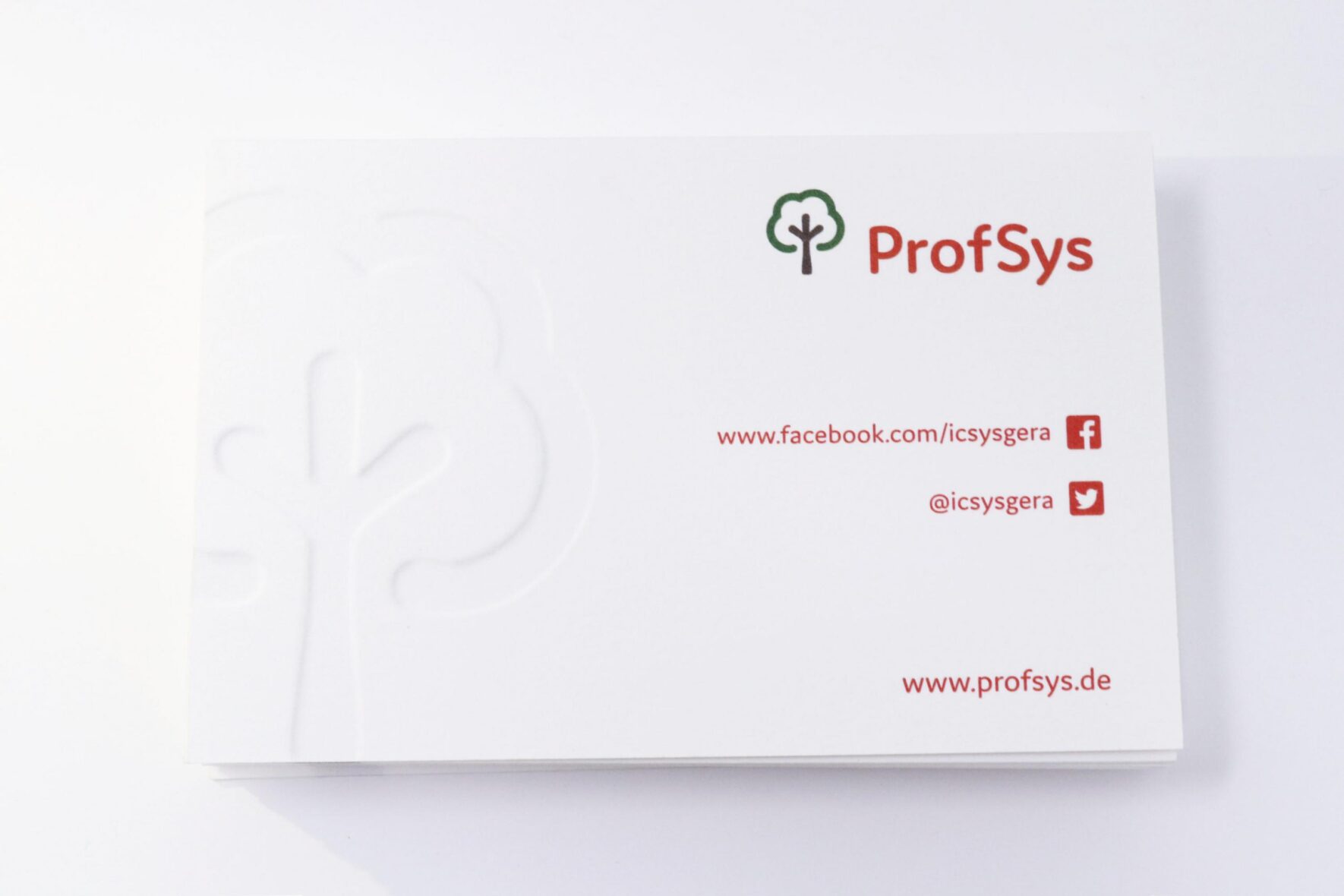 ReBranding-ProfSys-Corporate-Design-Visitenkarte-3 ReBranding-ProfSys-Corporate-Design-Visitenkarte-3
