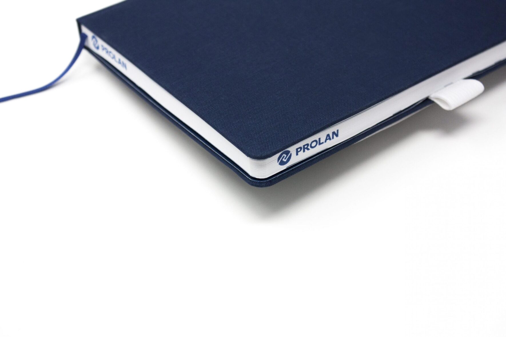 Redesign_Logo_PROLAN_Brand-Book_ecke