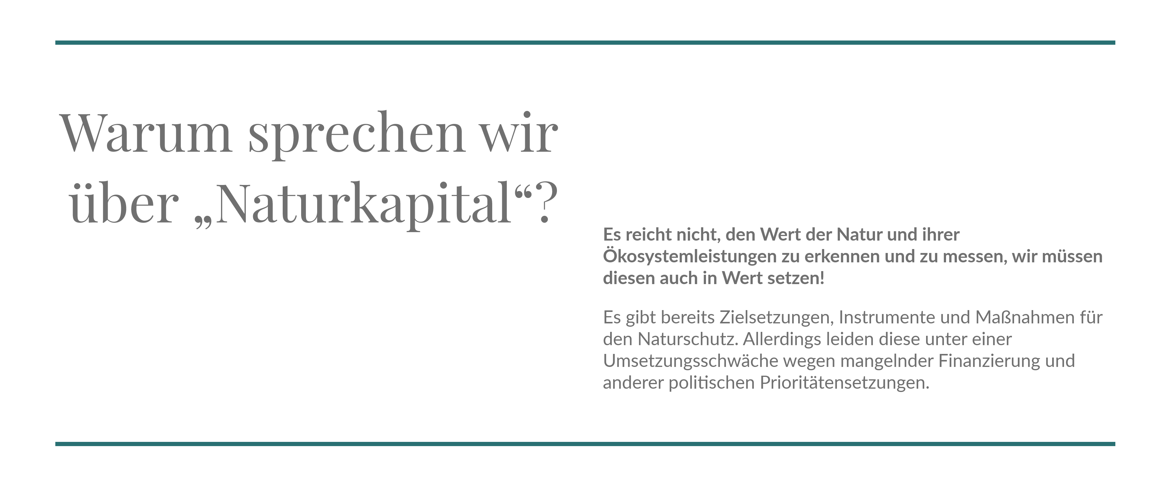 webdesign-typografie-naturkapital-xnoresizex