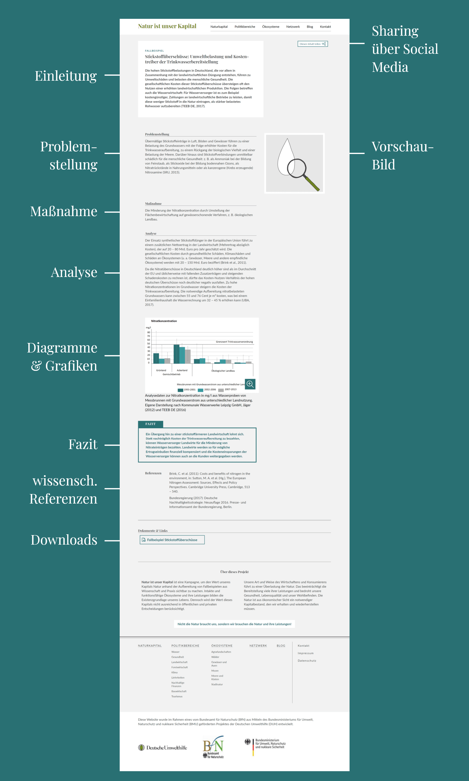 webdesign-fallbeispiel-naturkapital-xnoresizex