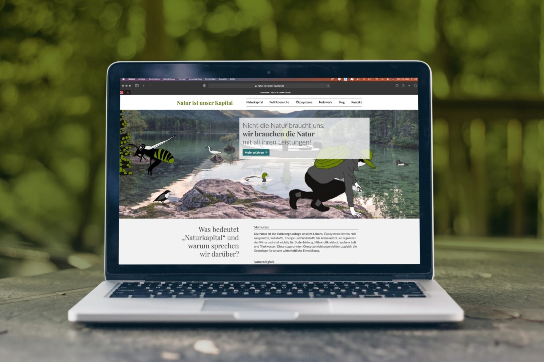 Vorschau-Bild: Webdesign: den Wert des Naturkapitals sichtbar machen (Deutsche Umwelthilfe)
