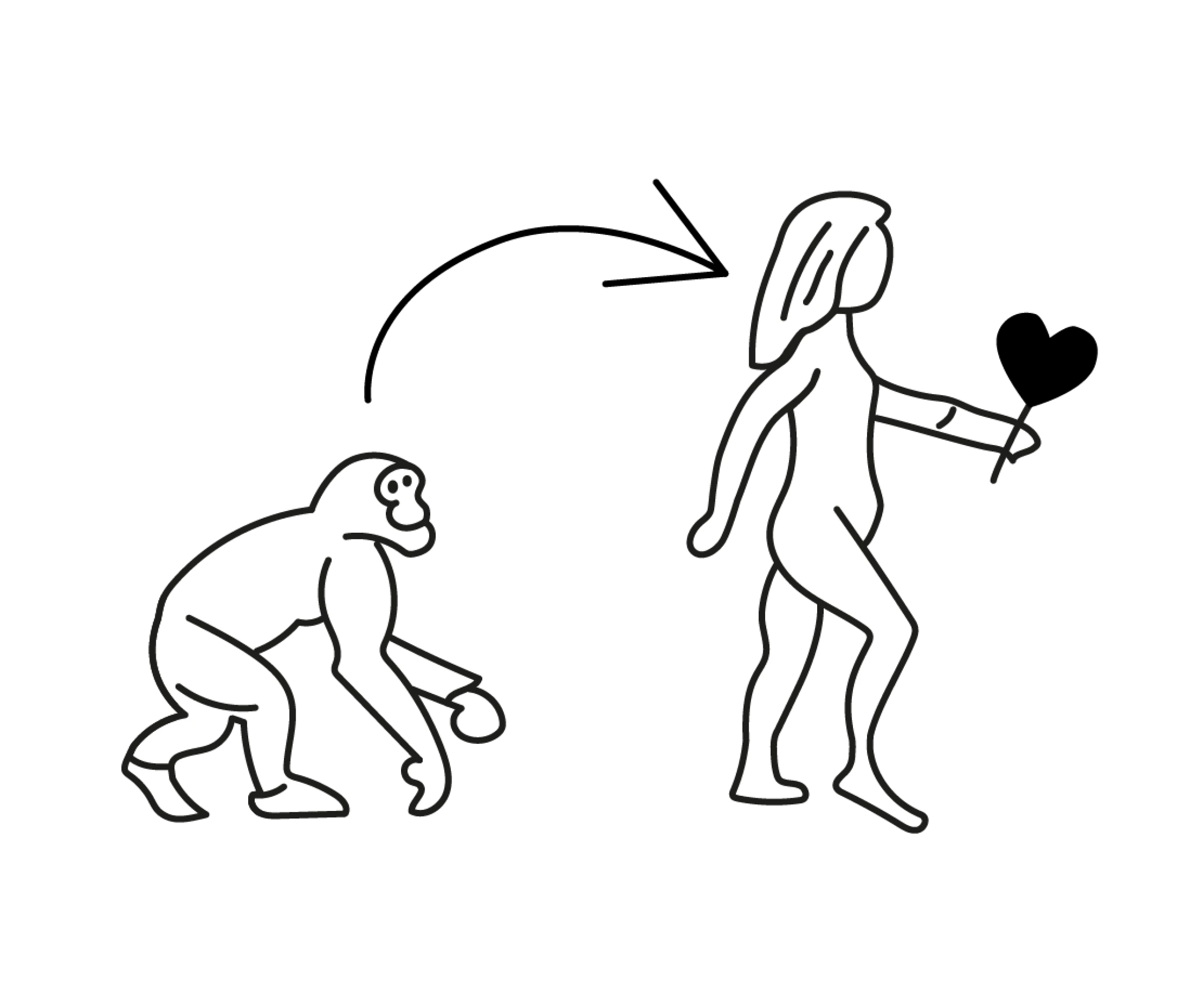 Evolution@3x